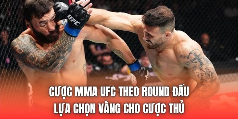 Cược MMA UFC Theo Round Đấu | Lựa Chọn Vàng Cho Cược Thủ